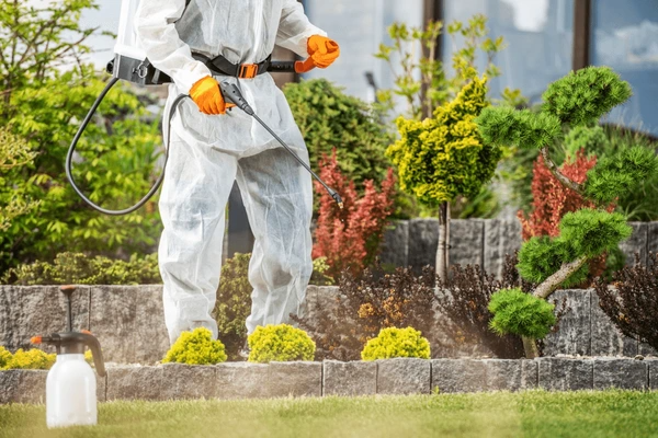 Herbal Pest Control Service