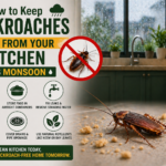 How to Keep Cockroaches Away from Your Kitchen This Monsoon